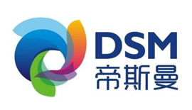 DSM 帝斯曼